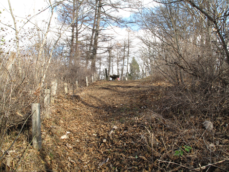 20171116hike (157)
